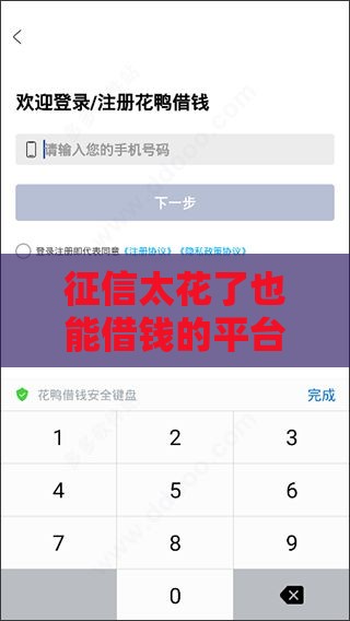 征信太花了也能借钱的平台叫什么？这5个方法或许能帮你解决难题