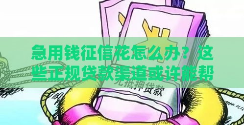 急用钱征信花怎么办？这些正规贷款渠道或许能帮到你