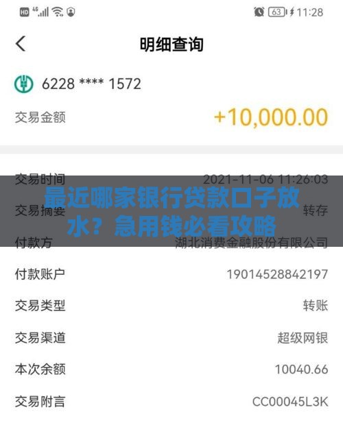 最近哪家银行贷款口子放水？急用钱必看攻略