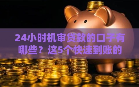 24小时机审贷款的口子有哪些？这5个快速到账的平台真靠谱！