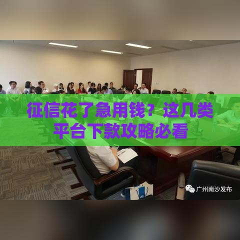 征信花了急用钱？这几类平台下款攻略必看