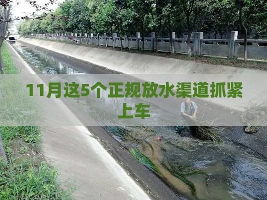 11月这5个正规放水渠道抓紧上车