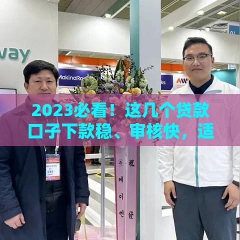 2023必看！这几个贷款口子下款稳、审核快，适合急用钱的朋友