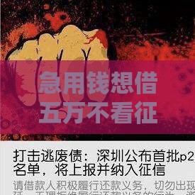 急用钱想借五万不看征信？这些门路要搞懂！