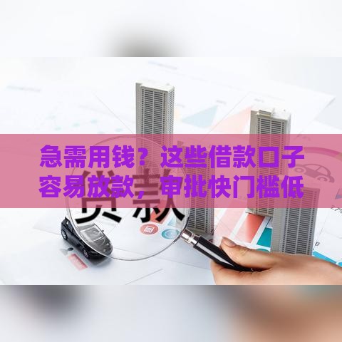 急需用钱？这些借款口子容易放款，审批快门槛低！