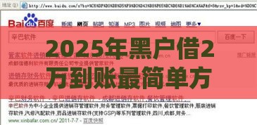 2025年黑户借2万到账最简单方法？过来人教你3招避坑攻略