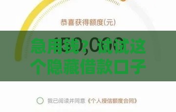 急用钱？试试这个隐藏借款口子！保险合同也能借钱