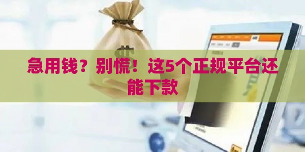 急用钱？别慌！这5个正规平台还能下款