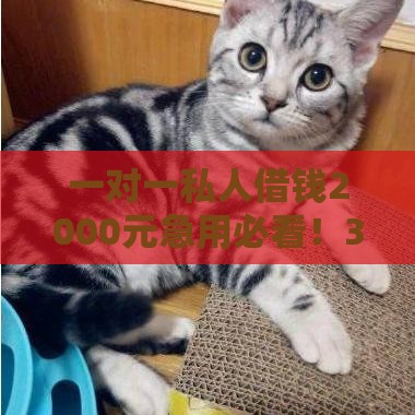 一对一私人借钱2000元急用必看！3分钟搞懂流程+避坑指南