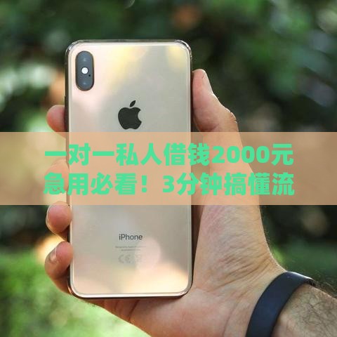 一对一私人借钱2000元急用必看！3分钟搞懂流程+避坑指南