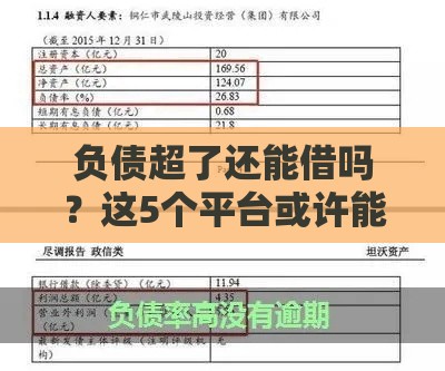 负债超了还能借吗？这5个平台或许能应急（附避坑指南）