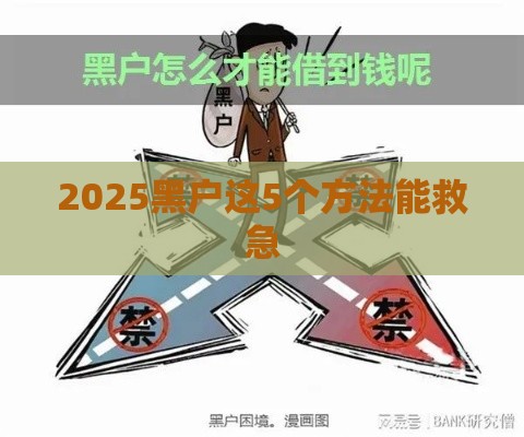 2025黑户这5个方法能救急