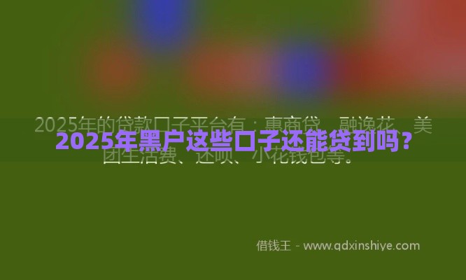 2025年黑户这些口子还能贷到吗？