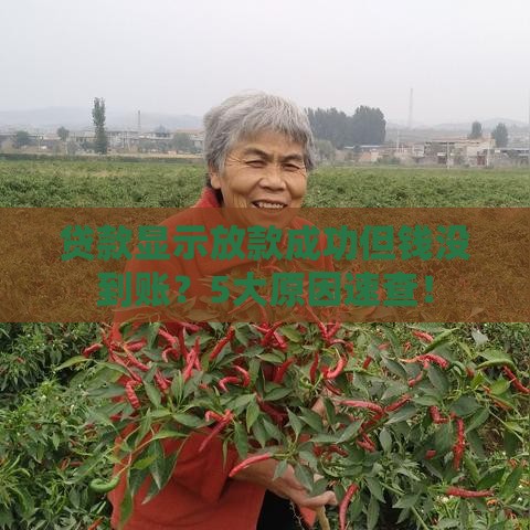 贷款显示放款成功但钱没到账？5大原因速查！