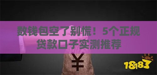 数钱包空了别慌！5个正规贷款口子实测推荐