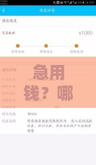 急用钱？哪个贷款平台2万额度好下款？这3个低门槛渠道亲测有效！