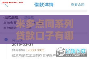 米多点同系列贷款口子有哪些？5个平台实测对比