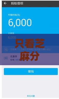 只看芝麻分就能贷的口子盘点