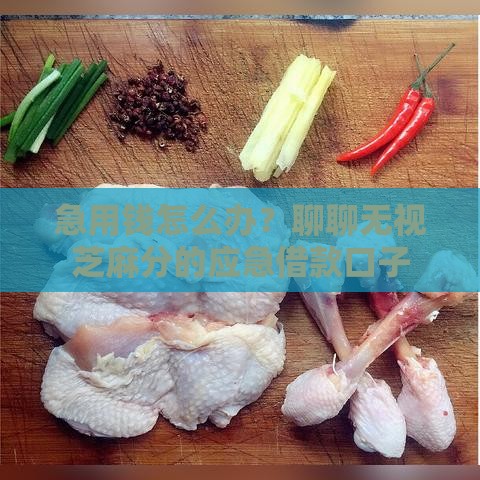 急用钱怎么办？聊聊无视芝麻分的应急借款口子