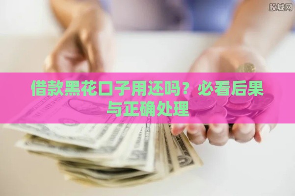 借款黑花口子用还吗？必看后果与正确处理