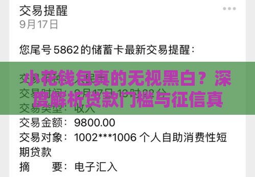 小花钱包真的无视黑白？深度解析贷款门槛与征信真相
