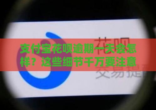 支付宝花呗逾期一天会怎样？这些细节千万要注意！