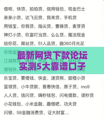 最新网贷下款论坛实测5大靠谱口子
