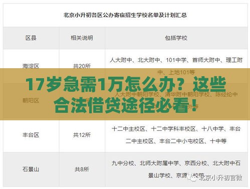 17岁急需1万怎么办？这些合法借贷途径必看！