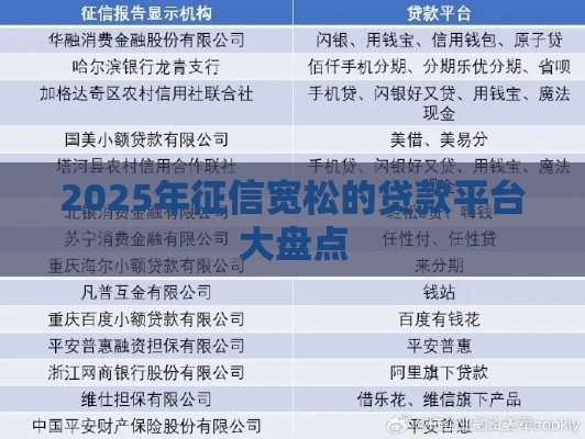 2025年征信宽松的贷款平台大盘点