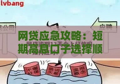 网贷应急攻略：短期高息口子选择顺序与避坑指南
