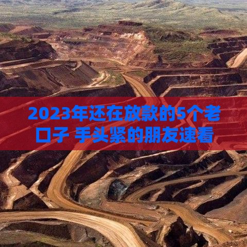 2023年还在放款的5个老口子 手头紧的朋友速看