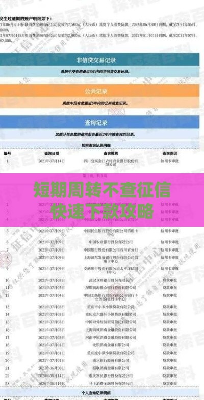 短期周转不查征信快速下款攻略