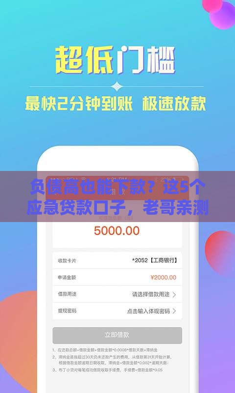 负债高也能下款？这5个应急贷款口子，老哥亲测有效！