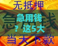 急用钱？这5大类贷款口子类型值得收藏！