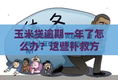 玉米贷逾期一年了怎么办？这些补救方法你一定要知道！