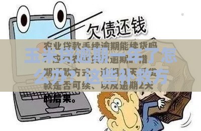 玉米贷逾期一年了怎么办？这些补救方法你一定要知道！