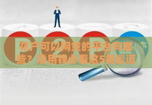 花户可以网贷的平台有哪些？急用钱必看这5类渠道！