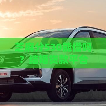 芝麻分530能借吗？结婚贷款平台推荐+申请攻略