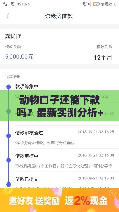 动物口子还能下款吗？最新实测分析+避坑指南
