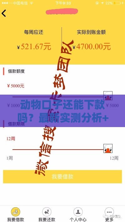 动物口子还能下款吗？最新实测分析+避坑指南