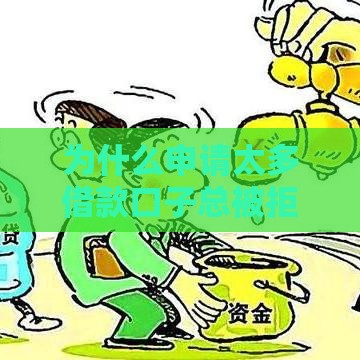 为什么申请太多借款口子总被拒？深度解析贷款被拒真相