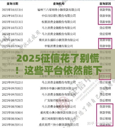 2025征信花了别慌！这些平台依然能下款