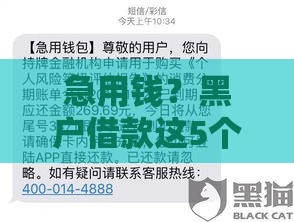 急用钱？黑户借款这5个路子可以试试！