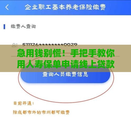 急用钱别慌！手把手教你用人寿保单申请线上贷款，这几个口子最靠谱！