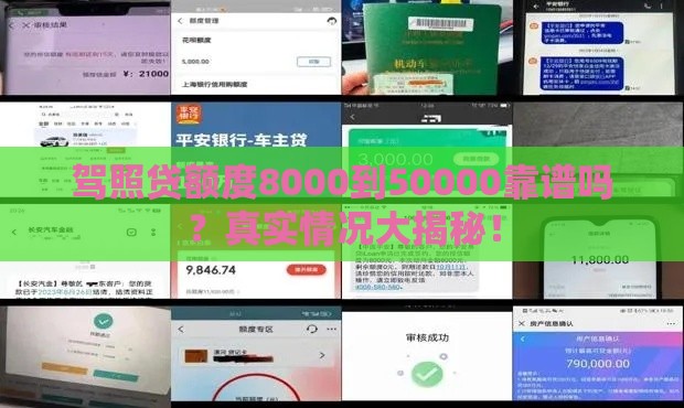 驾照贷额度8000到50000靠谱吗？真实情况大揭秘！