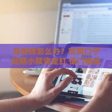 急用钱怎么办？双黑口子短期小额贷走红 低门槛成新宠