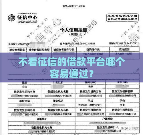 不看征信的借款平台哪个容易通过？
