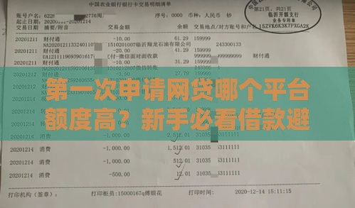 第一次申请网贷哪个平台额度高？新手必看借款避坑指南