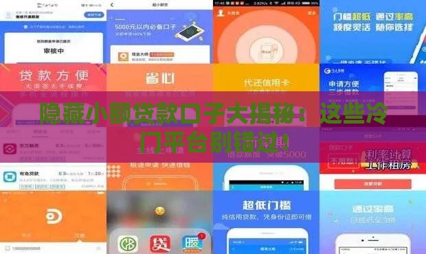 隐藏小额贷款口子大揭秘：这些冷门平台别错过！