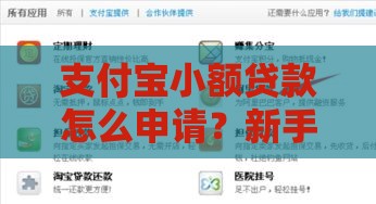 支付宝小额贷款怎么申请？新手必看的快速下款攻略